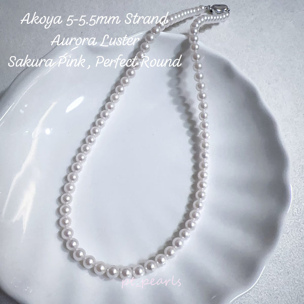 極光 Akoya 櫻花粉色 5-5.5mm 珠鏈 | Aurora Akoya Sakura Pink 5-5.5mm Pearl Strand