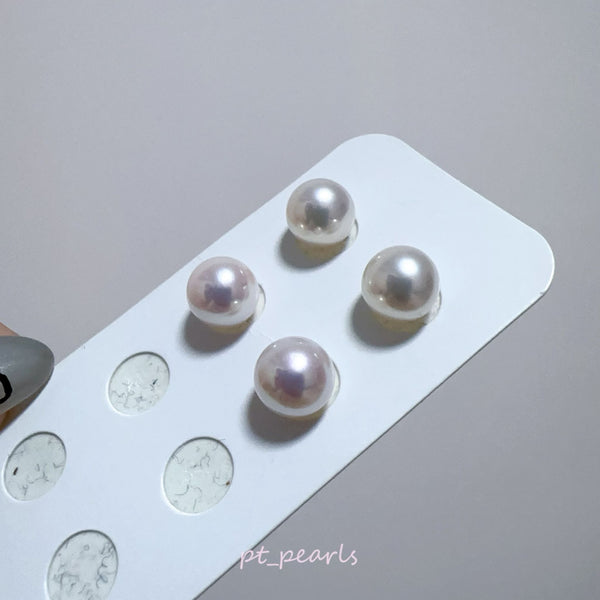 AAAA級 極光 Akoya 8.5-9mm 耳環 | AAAA Grade 8.5-9mm Akoya Earrings