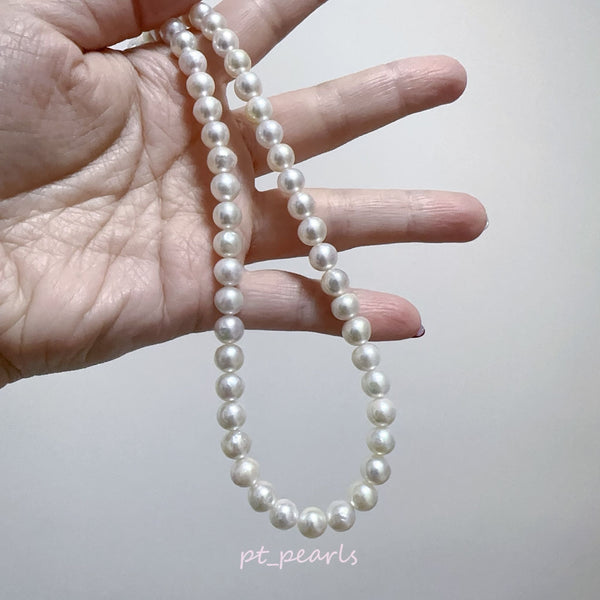 (Anniversary Sale) 極光 Akoya 7-7.5mm 珠鏈 | Aurora Akoya 7-7.5mm Strand