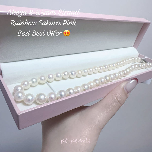 超特價 Akoya 極光幻彩櫻花粉色 8-8.5mm 珠鏈 | Special Offer Aurora Akoya 8-8.5mm Rainbow Sakura Pink Pearl Strand