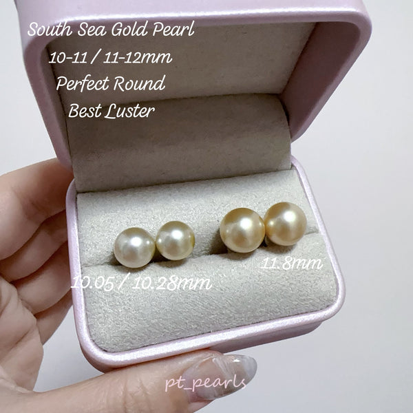 南洋金珠 10-11 / 11-12mm 配18K配件 | South Sea Gold Pearl 10-11 / 11-12mm with 18K setting