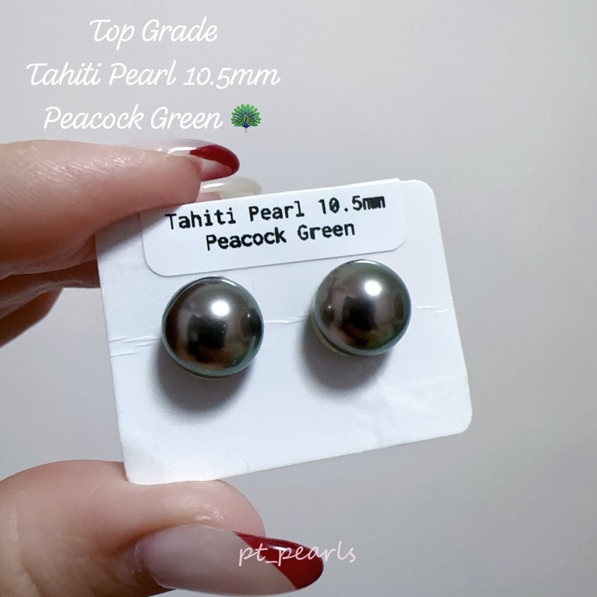 頂級鏡面 孔雀綠色 大溪地10.5mm耳環 | Top Grade Peacock Green Tahitian Pearl 10.5mm earrings