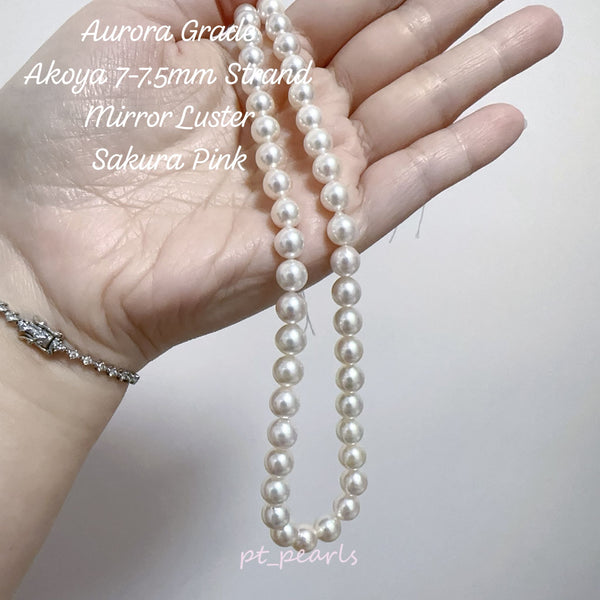 極光 Akoya 7-7.5mm 珠鏈 | Aurora Akoya 7-7.5mm Strand