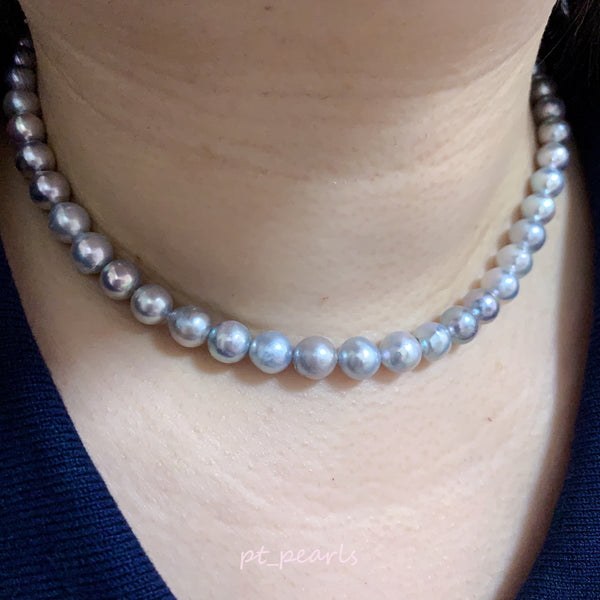 日本珍珠 Akoya 6-8.5mm 銀藍色 無調色珠鏈 | Akoya 6-8.5mm Silvery Blue Pearl Strand