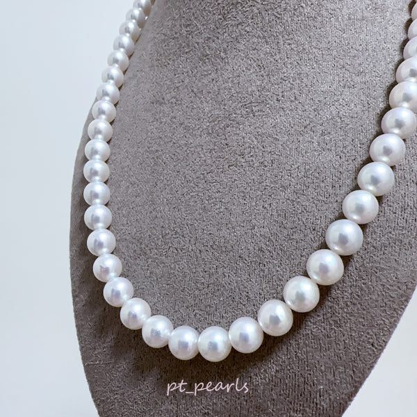 (限定價)  天女粉色 證書級 Akoya 7.5-8mm 珠鏈 | Tennyo Pink Certificate Grade Akoya 7.5-8mm Pearl Strand