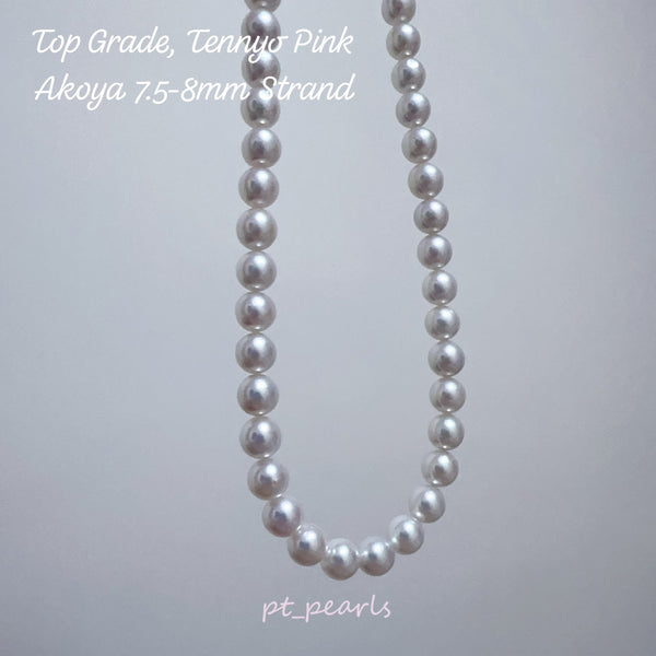 (限定價)  天女粉色 證書級 Akoya 7.5-8mm 珠鏈 | Tennyo Pink Certificate Grade Akoya 7.5-8mm Pearl Strand
