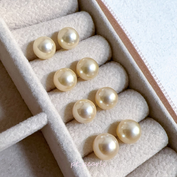 AAAA級 極光 Akoya Gold 無調色 7.5-8mm 耳環 | AAAA Grade Aurora Akoya Gold Non Color Treated 7.5-8mm Earrings