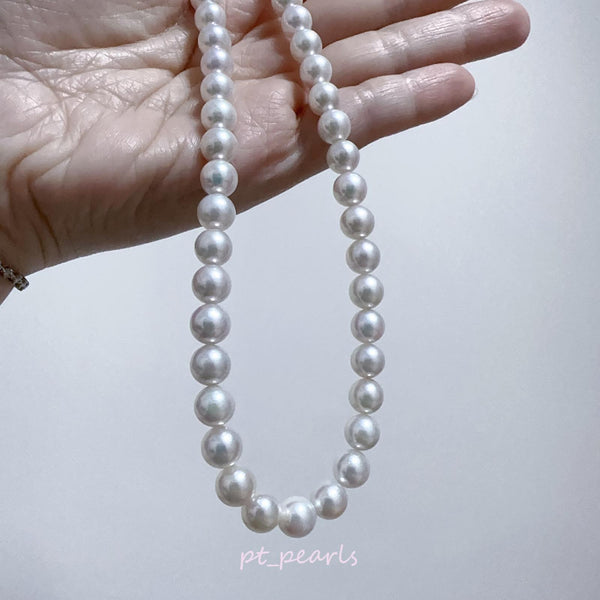 花珠級 極光 Akoya 幻彩櫻花粉色 7.5-8mm 珠鏈 | Hanadama Grade Aurora Akoya Rainbow Sakura Pink 7.5-8mm Pearl Strand