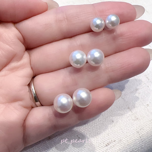 (特價中) 極光 Akoya 7-9.5mm 耳環 | (Special Offer) Aurora Akoya 7-9.5mm Akoya earrings