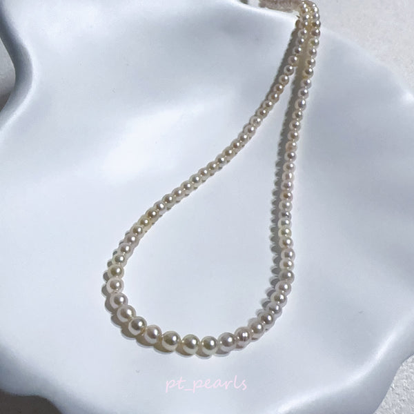 極光濃金色 Akoya 3-3.5mm 頸鏈 | Aurora Akoya Deep Gold 3-3.5mm Pearl Strand