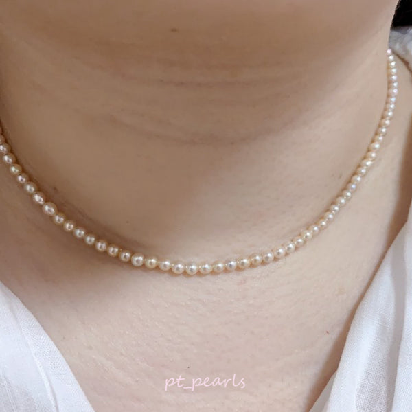 極光濃金色 Akoya 3-3.5mm 頸鏈 | Aurora Akoya Deep Gold 3-3.5mm Pearl Strand