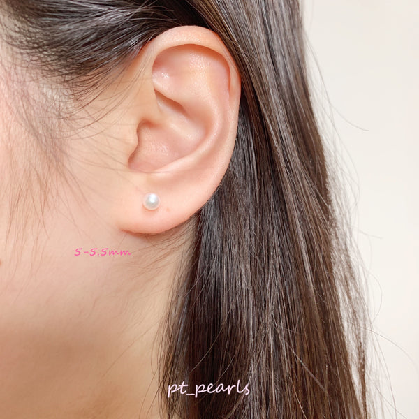 (Anniversary Sale) 極光 Akoya 5-5.5mm 耳環 | Aurora Grade Akoya 5-5.5mm earrings