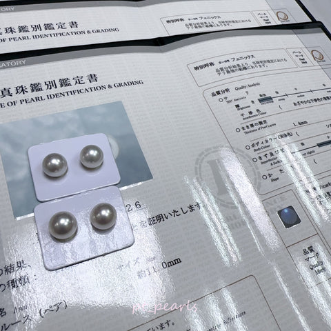 極光鳳凰 11.0 / 11.5mm耳環 連真科研大證書 | Aurora Phoneix 11.0 / 11.5mm Earrings with Japan PSL certificate