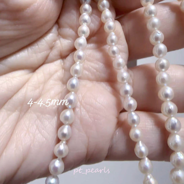 (Summer Sale) 日本珍珠 Akoya 4-5mm 珠鏈 | Akoya 4-5mm Pearl Strand