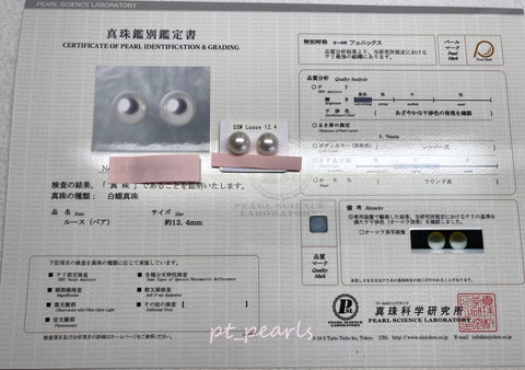 Summer Sale 極光鳳凰 南洋澳白12.4mm耳環 連真科研大證書 | Aurora Phoenix South Sea Pearl 12.4mm Earrings with Japan PSL certificate