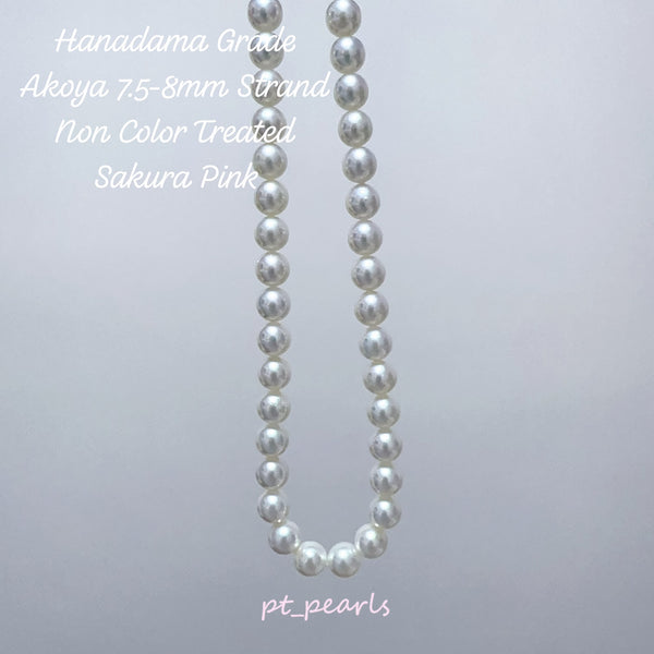 花珠級 極光 Akoya 幻彩櫻花粉色 無調色 7.5-8mm 珠鏈 | Hanadama Grade Aurora Akoya Rainbow Sakura Pink Non Color Treated 7.5-8mm Pearl Strand