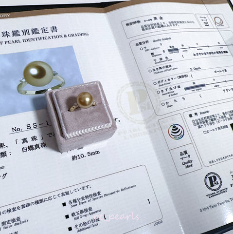 南洋極光茶金10.5mm 戒指連真科研大證書 | South Sea Aurora Chakin 10.5mm Ring with Japan PSL certificate