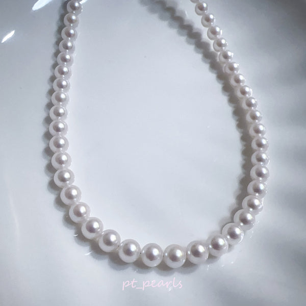 極光 Akoya 櫻花粉色 5-5.5mm 珠鏈 | Aurora Akoya Sakura Pink 5-5.5mm Pearl Strand