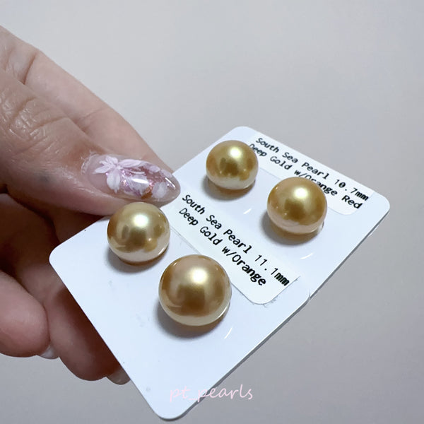 (Summer Sale) 頂級極光南洋濃金金珠 10.7 / 11.1mm耳環 | Top Grade South Sea Deep Gold Pearl 10.7 / 11.1mm Earrings