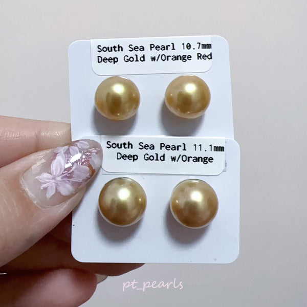 (Summer Sale) 頂級極光南洋濃金金珠 10.7 / 11.1mm耳環 | Top Grade South Sea Deep Gold Pearl 10.7 / 11.1mm Earrings