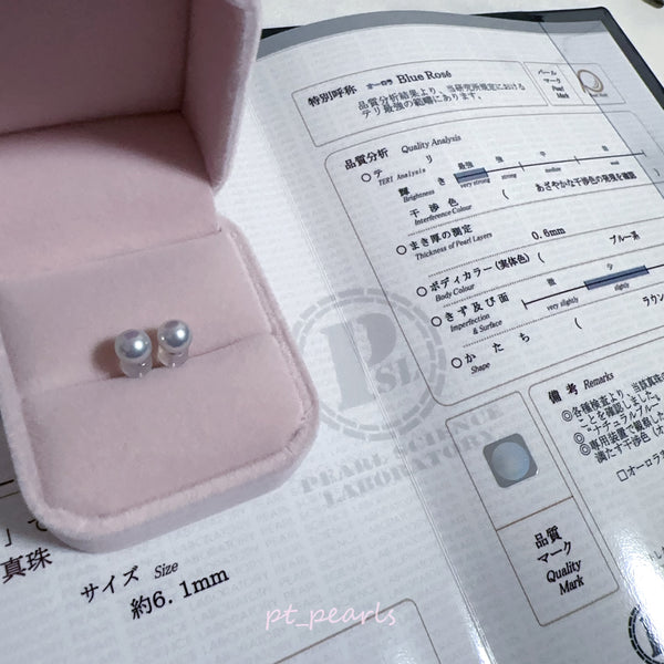 Akoya 極光Blue Rose 6.1mm 耳環 連真科研大證書 | Akoya Aurora Blue Rose 6.1mm Earrings with Japan PSL certificate