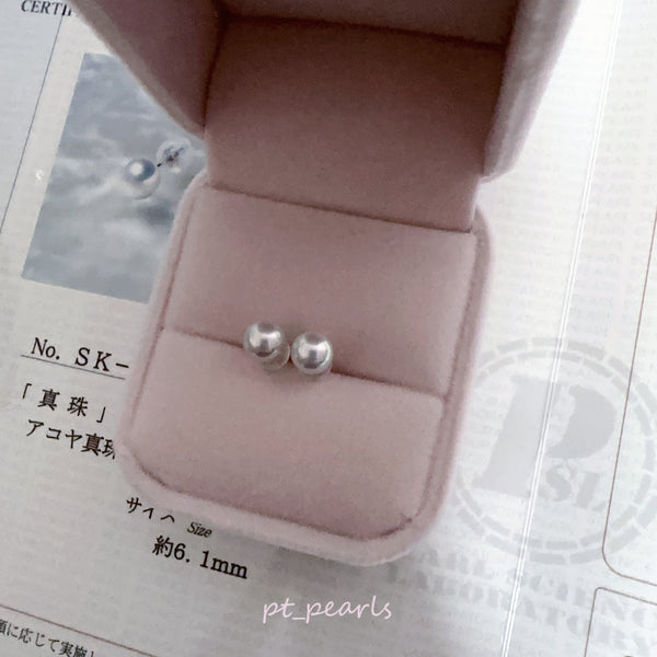 Akoya 極光Blue Rose 6.1mm 耳環 連真科研大證書 | Akoya Aurora Blue Rose 6.1mm Earrings with Japan PSL certificate