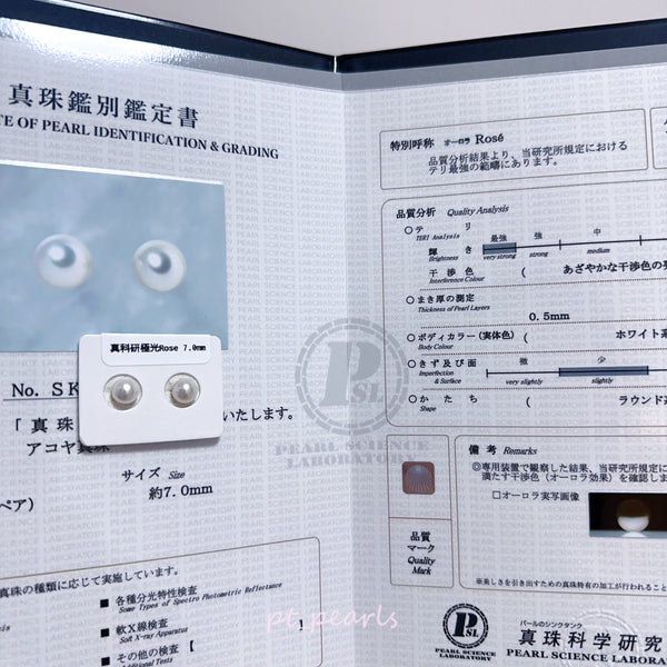 (Summer Sale) 真科研極光 Rose 7.0mm 連18K耳針 | Akoya Aurora Rose 7.0mm with 18K Setting & PSL Certificate