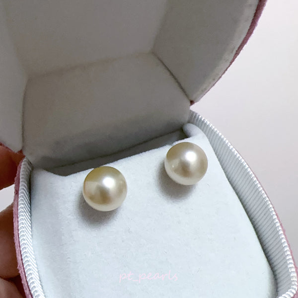(超特價) 極光南洋金珠 10-11mm 配18K配件 | (Special Deal) Aurora South Sea Gold Pearl 10-11mm with 18K setting