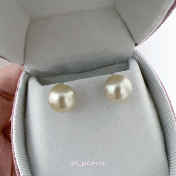 (超特價) 極光南洋金珠 10-11mm 配18K配件 | (Special Deal) Aurora South Sea Gold Pearl 10-11mm with 18K setting