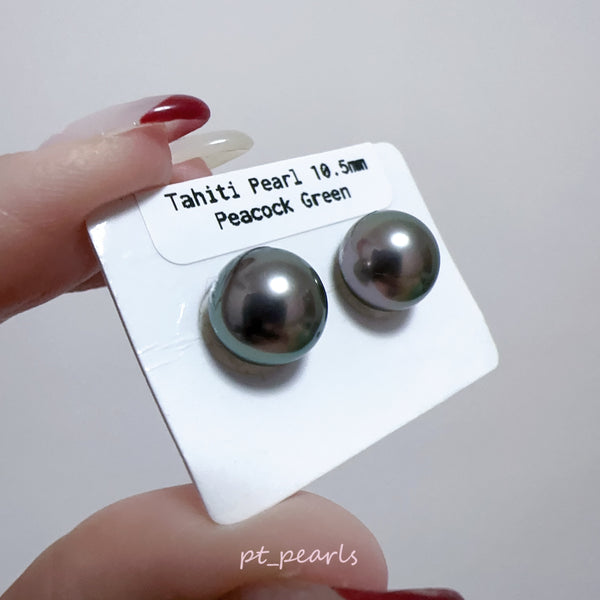頂級鏡面 孔雀綠色 大溪地10.5mm耳環 | Top Grade Peacock Green Tahitian Pearl 10.5mm earrings