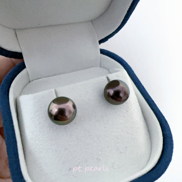 頂級鏡面 孔雀紅色 大溪地 9.8mm 耳環 | Top Grade Peacock Red Tahitian Pearl 9.8mm earrings