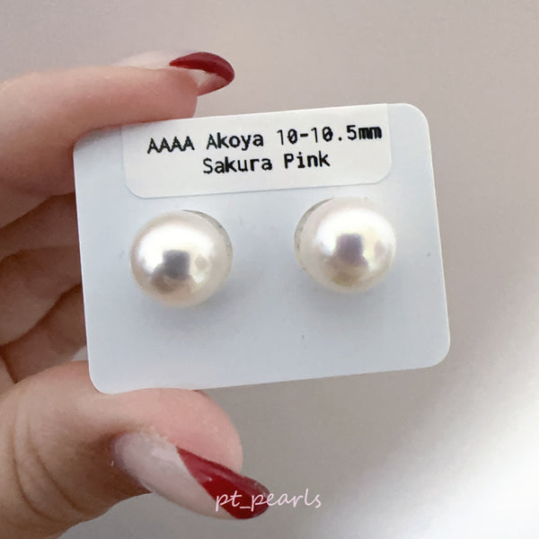 AAAA級 Akoya 10-10.5mm 耳環 | AAAA Grade 10-10.5mm Akoya Earrings