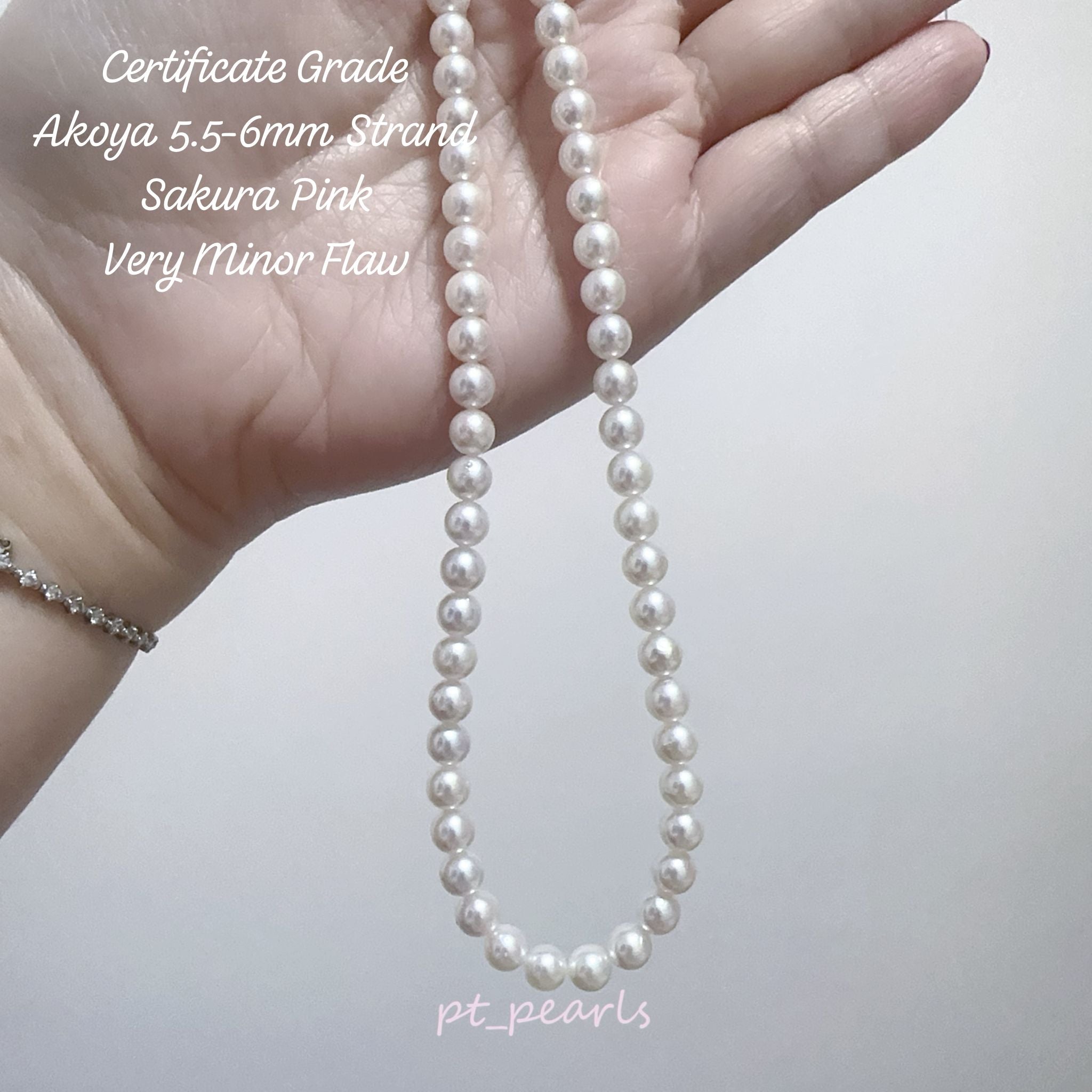 證書級 極光 Akoya 櫻花粉色 5.5-6mm 珠鏈 | Certificate Grade Akoya Sakura Pink 5.5-6mm Pearl Strand