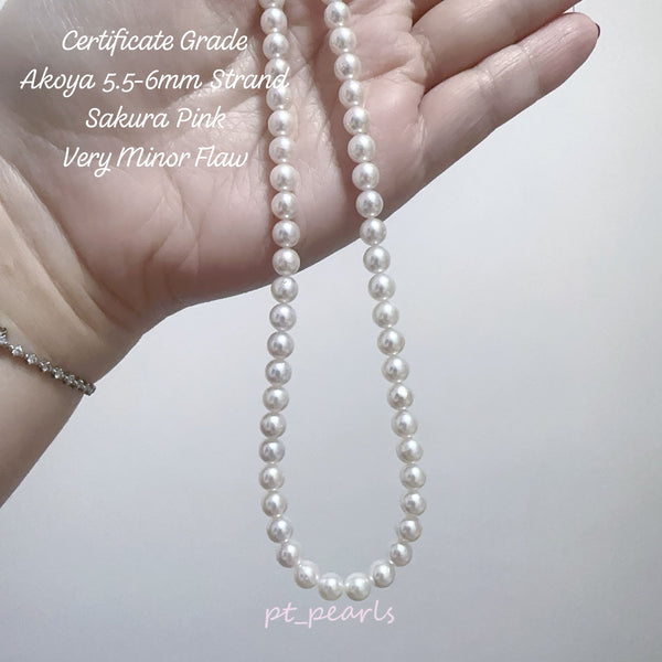 證書級 極光 Akoya 櫻花粉色 5.5-6mm 珠鏈 | Certificate Grade Akoya Sakura Pink 5.5-6mm Pearl Strand