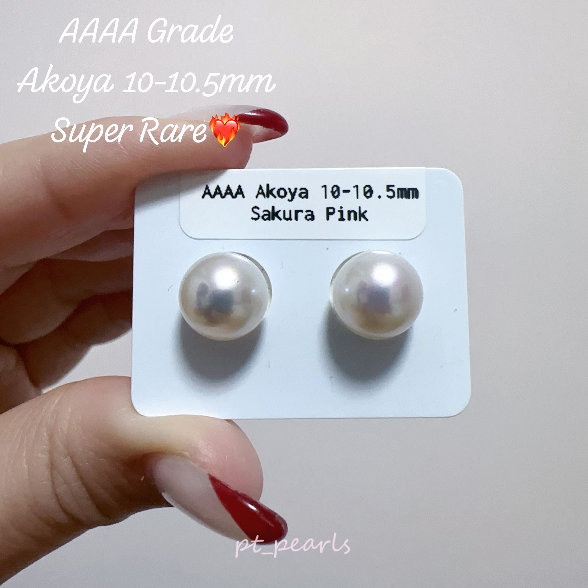 AAAA級 Akoya 10-10.5mm 耳環 | AAAA Grade 10-10.5mm Akoya Earrings