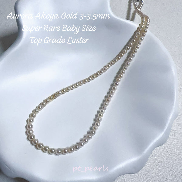 極光濃金色 Akoya 3-3.5mm 頸鏈 | Aurora Akoya Deep Gold 3-3.5mm Pearl Strand